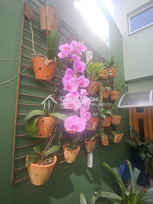 Sobrado para alugar na Rua AbaúnaVila Moinho Velho - 145501-47.jpeg