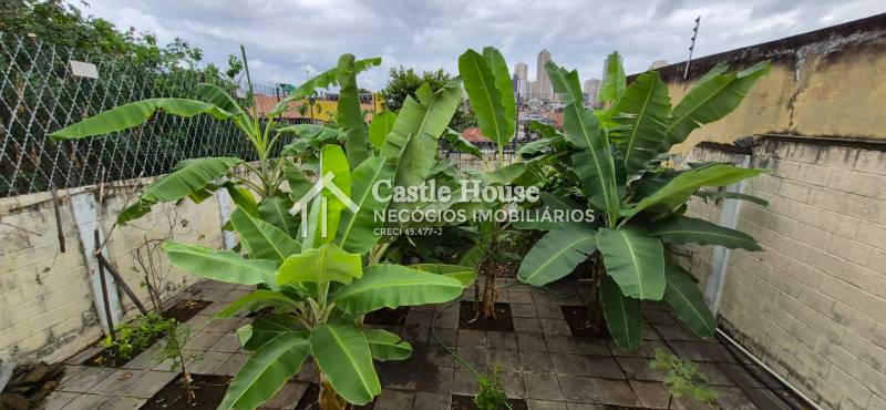 Casa à venda na Rua DravaVila Moinho Velho - 999-150316-9.jpeg